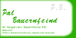 pal bauernfeind business card